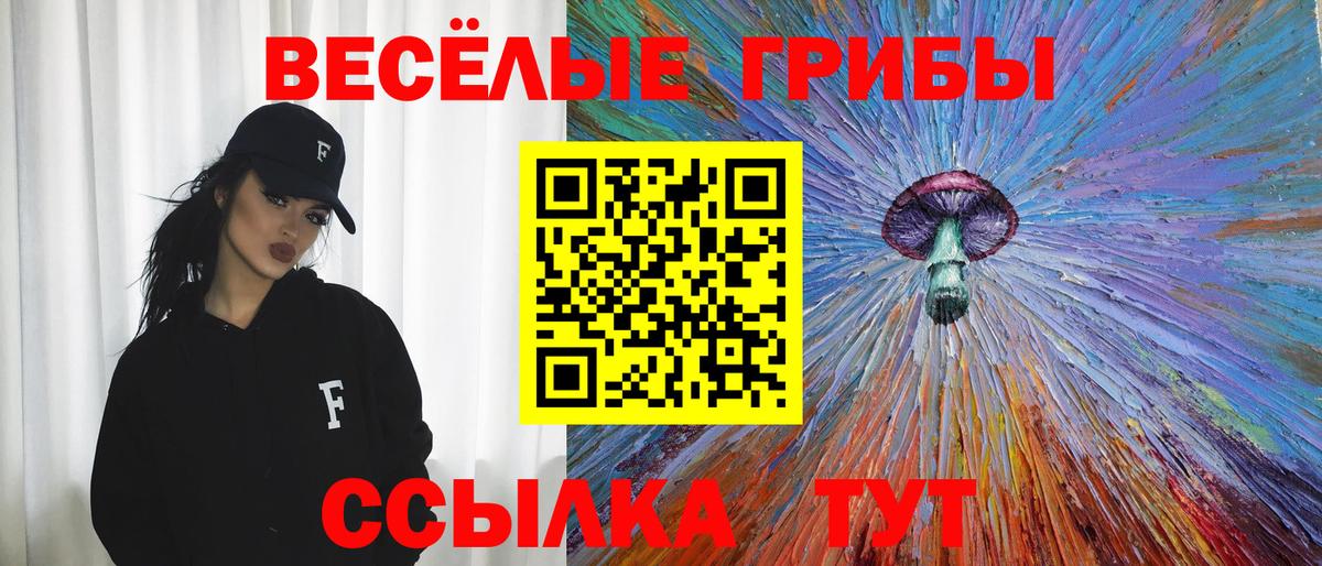 Псилоцибиновые грибы GOLDEN TEACHER  Галлюциногенные грибы Cubensis  Ачхой-Мартан  что такое наркотик  Вход с VPN 