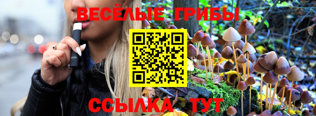 Псилоцибиновые грибы мухоморы Ачхой-Мартан