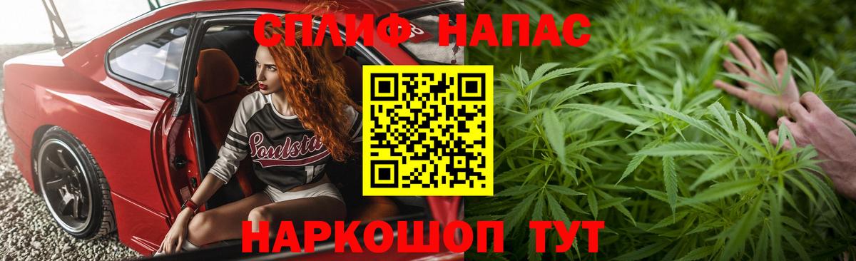 Шишки марихуана сатива  Канабис план  Ачхой-Мартан  Канабис планчик  Бошки Шишки семена  Вход с VPN 