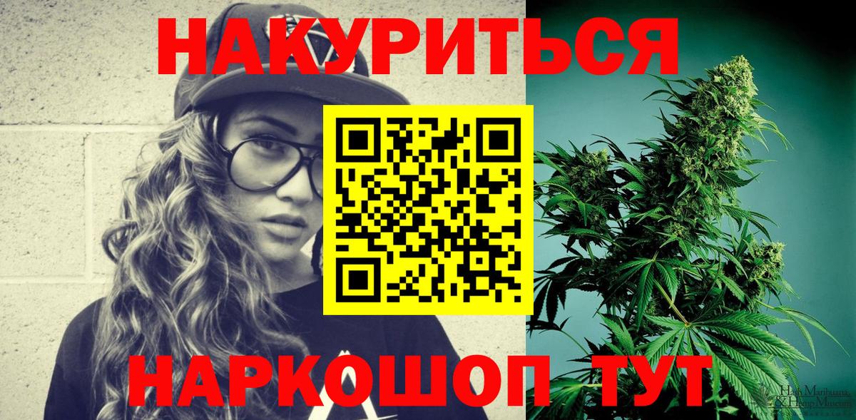Конопля сатива Ачхой-Мартан